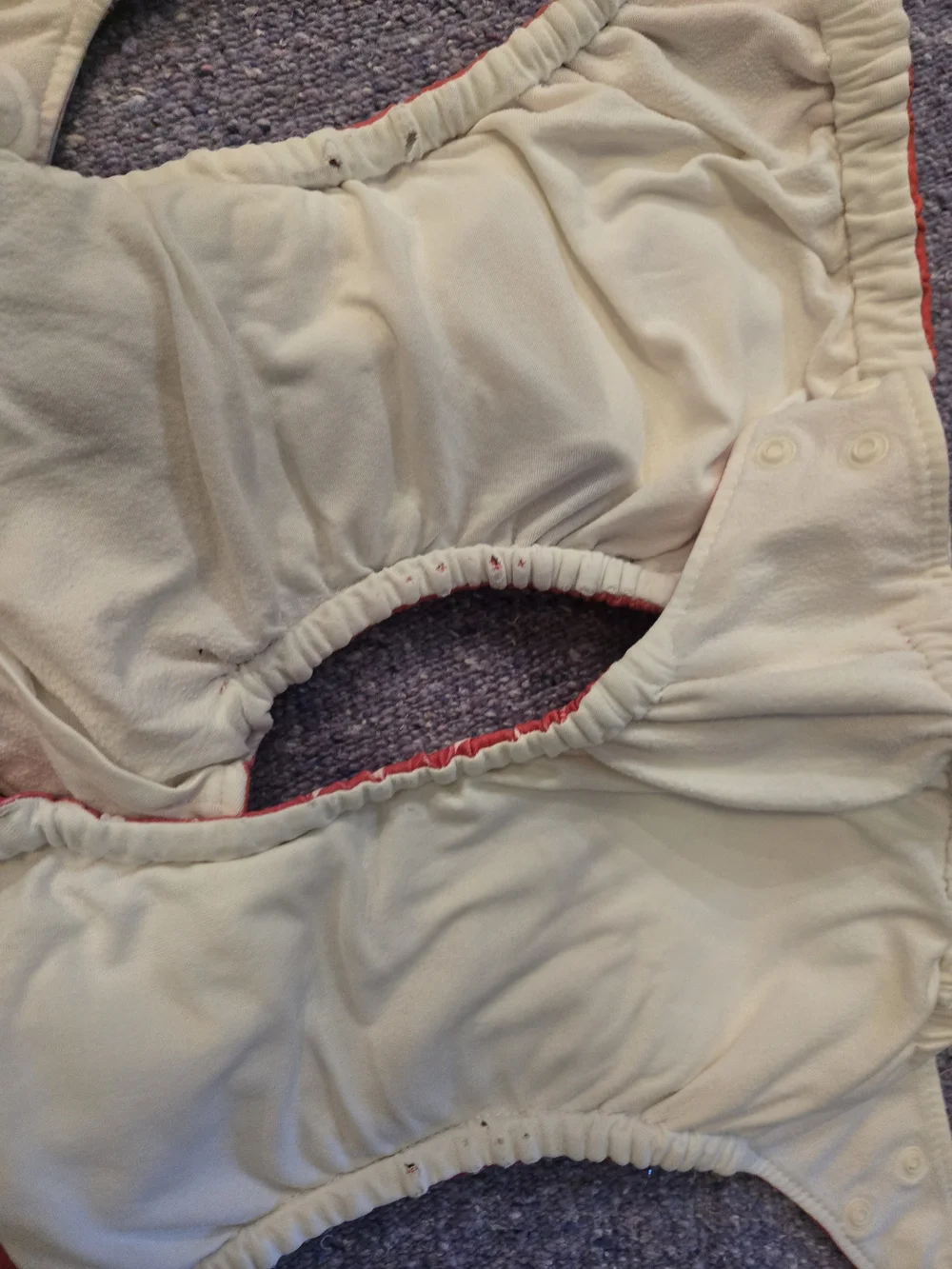 Charlie Banana Resuable Cloth Diaper Covers With Inserts